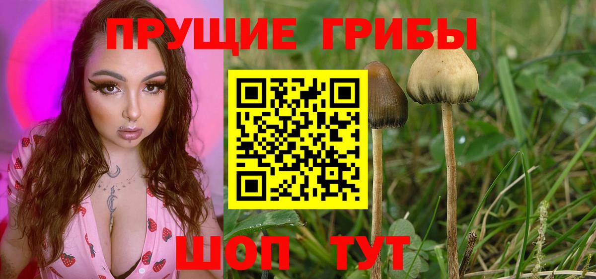 Псилоцибиновые грибы прущие грибы Миллерово